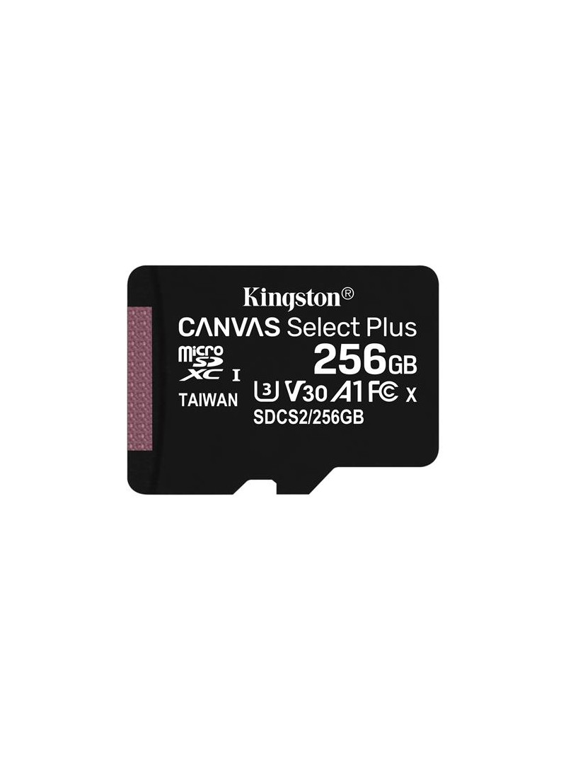 MEMORIA MICRO SD 256GB KINGSTON SDXC CL10 - CANVAS