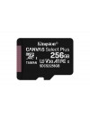 MEMORIA MICRO SD 256GB KINGSTON SDXC CL10 - CANVAS
