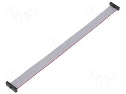 CONEXION DE CINTA PLANA CON CONECTORES - RASTER CINTA 0,64mm - 20 VIAS - CONECTORES IDC 20 PIN - RASTER CONECTOR 1,27mm - 0,203 