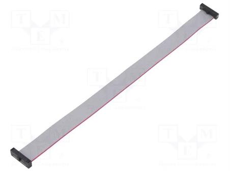 CONEXION DE CINTA PLANA CON CONECTORES - RASTER CINTA 0,64mm - 20 VIAS - CONECTORES IDC 20 PIN - RASTER CONECTOR 1,27mm - 0,203 