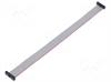 CONEXION DE CINTA PLANA CON CONECTORES - RASTER CINTA 0,64mm - 20 VIAS - CONECTORES IDC 20 PIN - RASTER CONECTOR 1,27mm - 0,203 